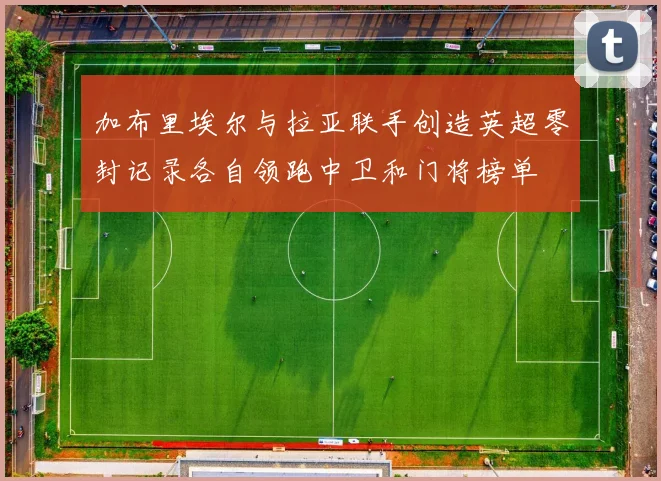 加布里埃尔与拉亚联手创造英超零封记录各自领跑中卫和门将榜单