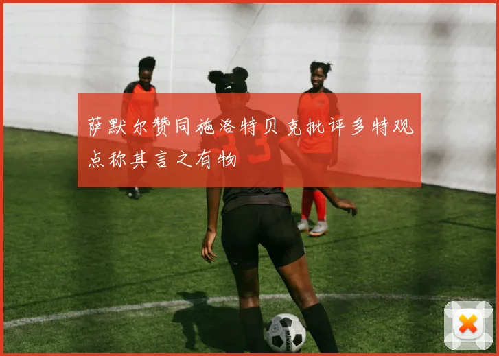 萨默尔赞同施洛特贝克批评多特观点称其言之有物