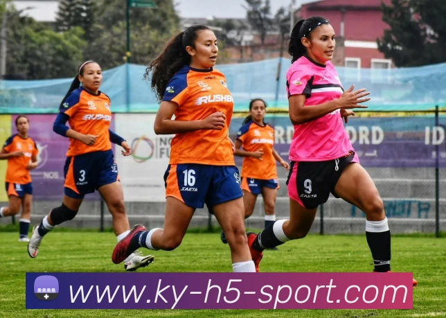 开云体育发展历程